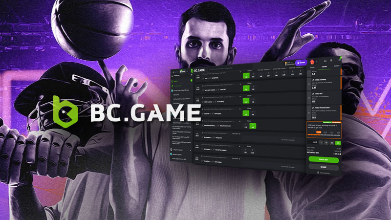 Comprehensive Overview of BC Game Payment Options Comprehensive Overview of BC Game Payment Options